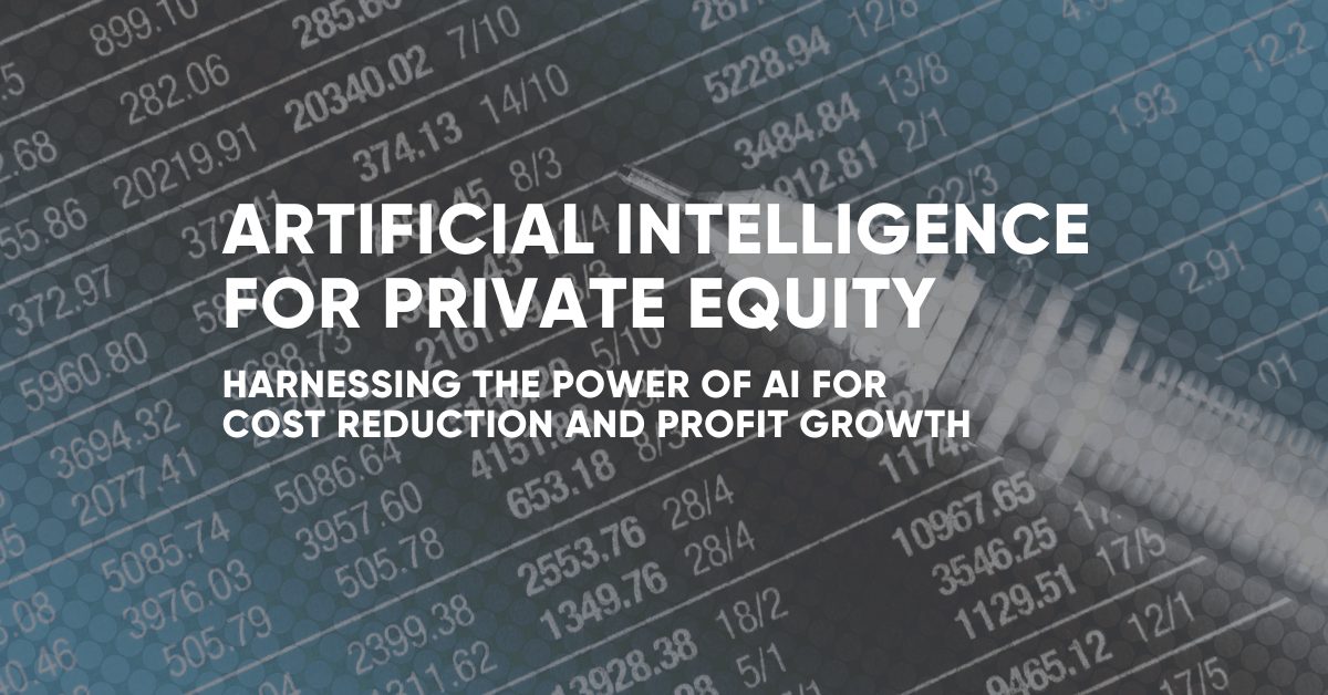 Artificial Intelligence for Private Equity Portfolio Companies