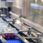 Bite size tomatoes being packaged via assembly line