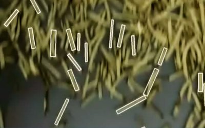 Why Edge Inferencing Matters for Manufacturers